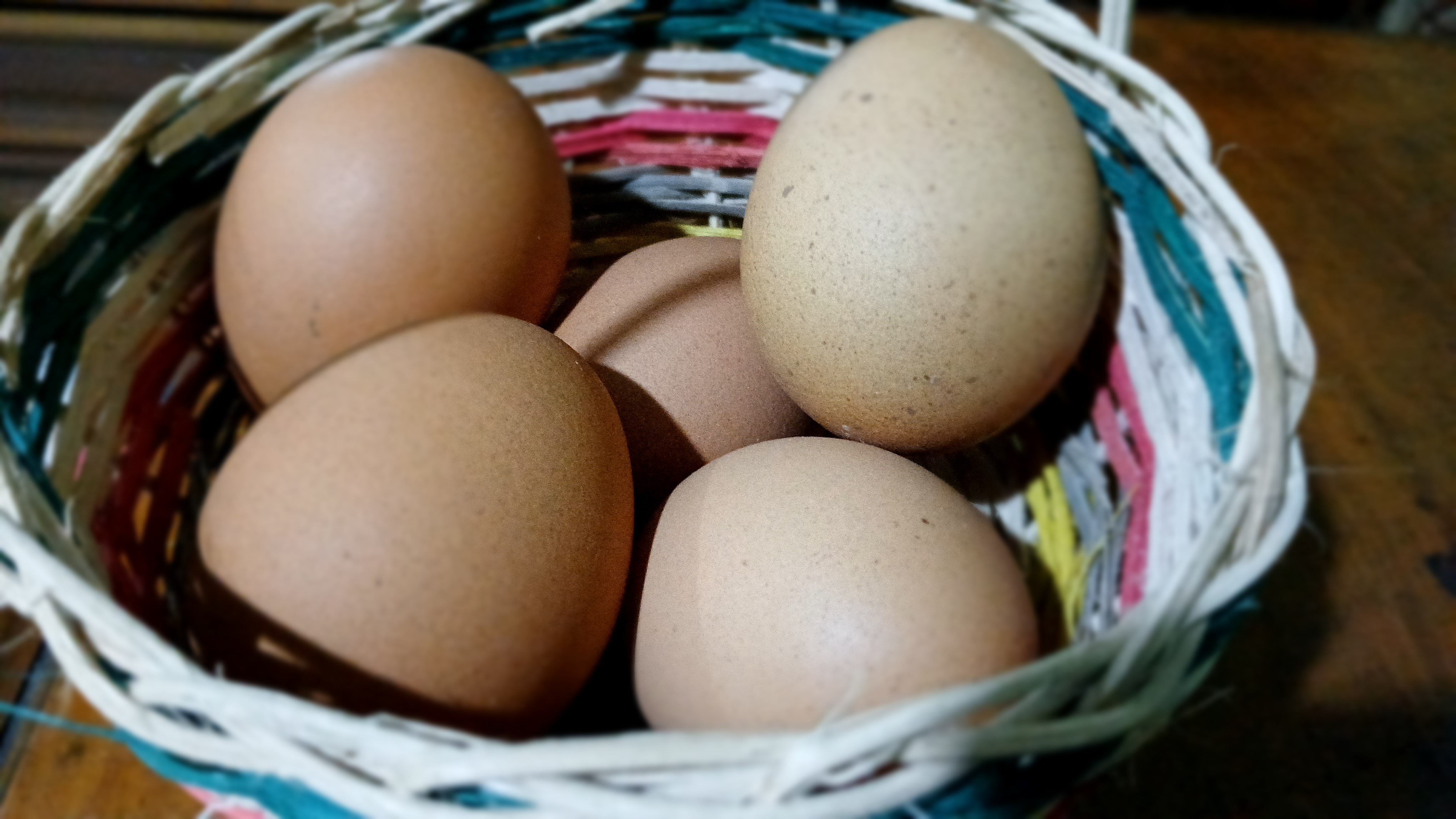 Telur salah satu sumber protein yang baik untuk kesehatan.
