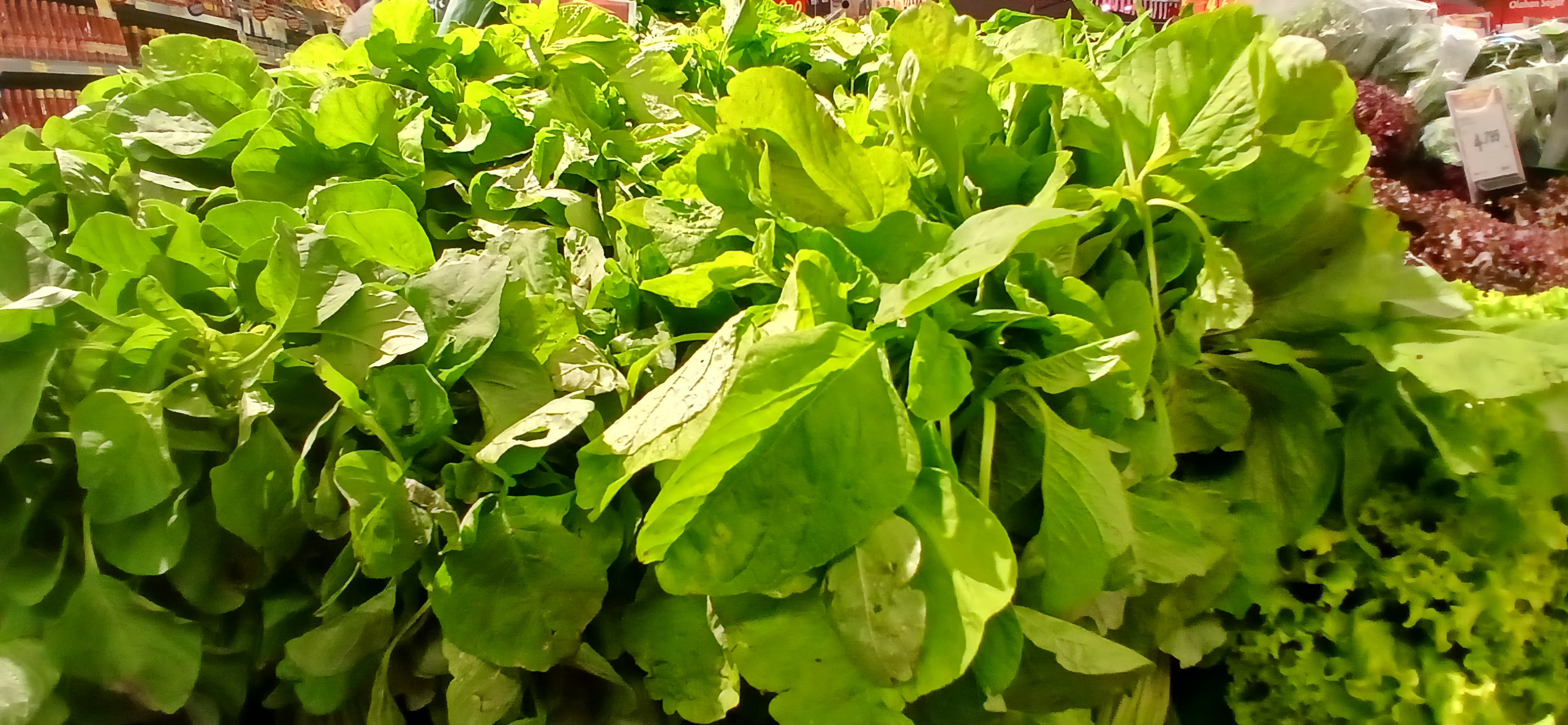 Sayur bayam yang banyak mengandung vitamin A, B, C, E dan K.