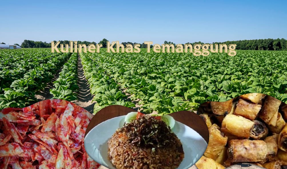 Makanan Khas Kota Temanggung