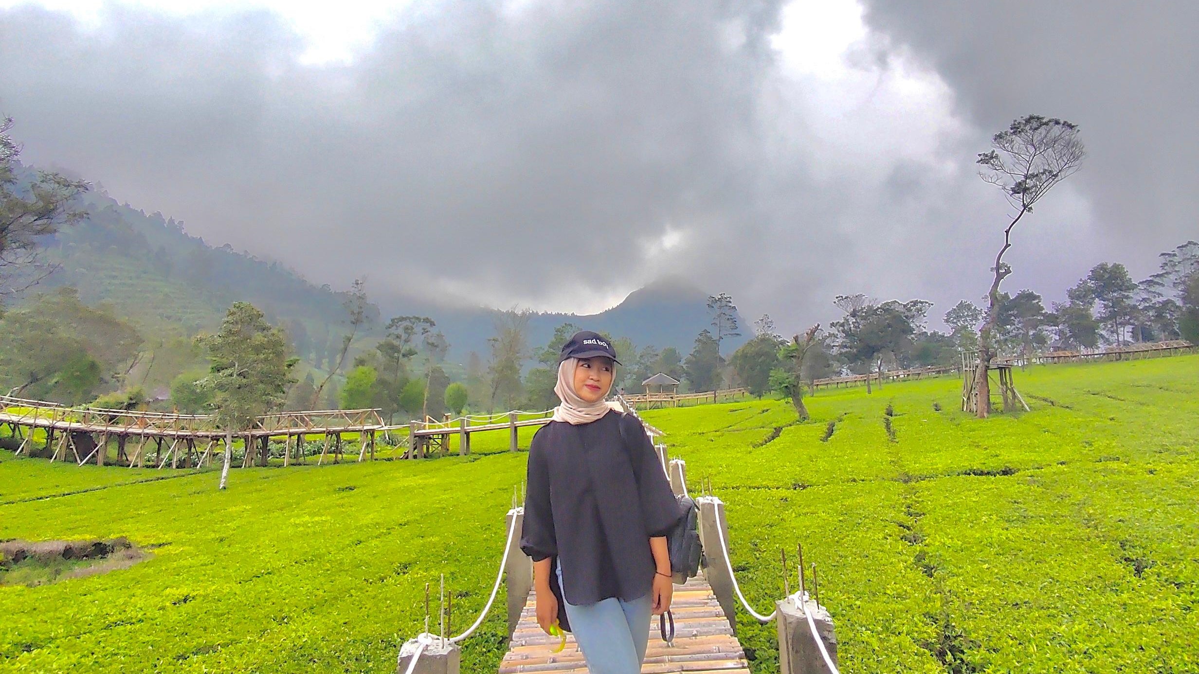 Terletak di dataran tinggi Dieng, Kebun Teh Tambi memiliki pesona alam yang memukau