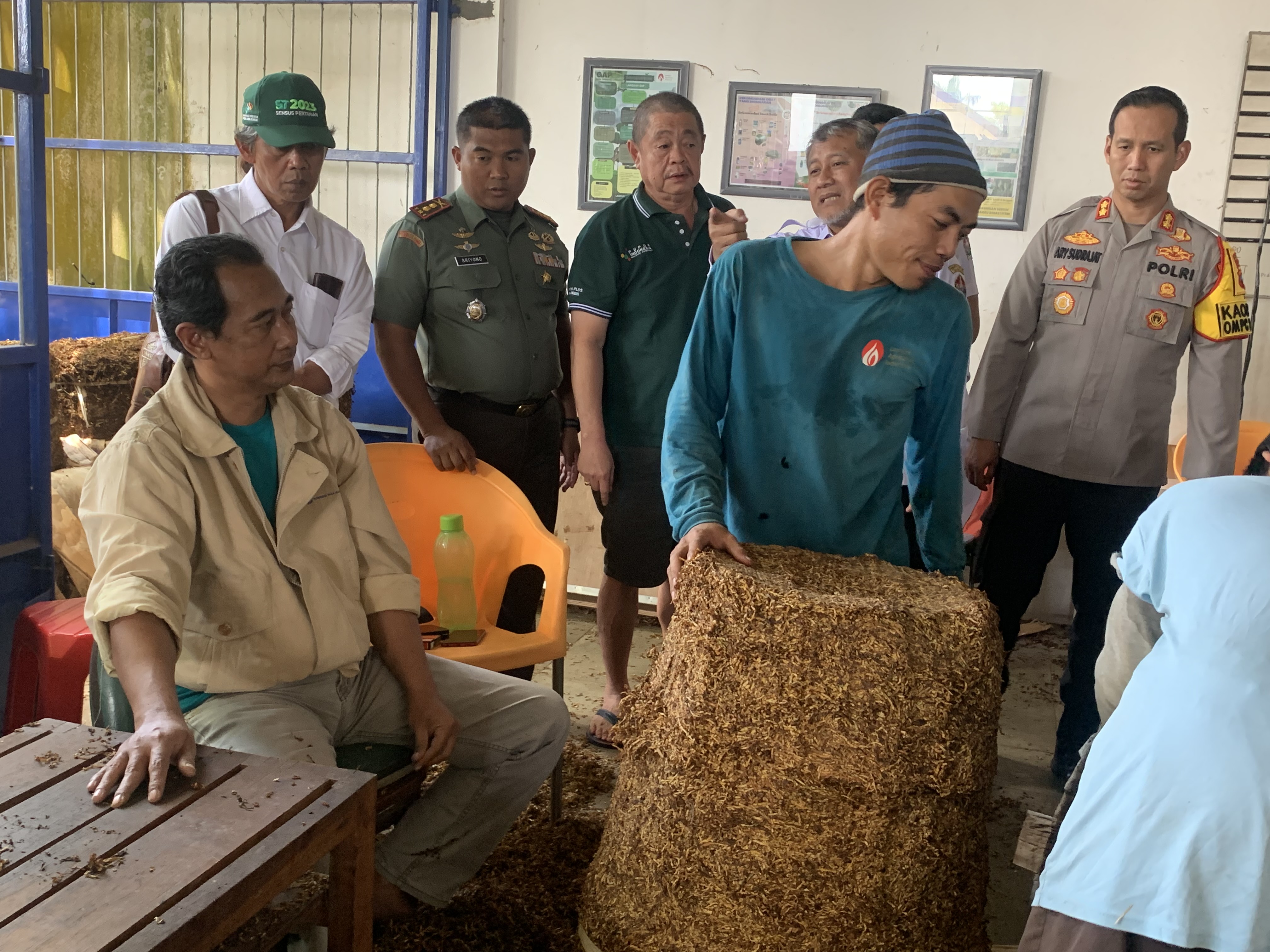 Tembakau Temanggung salah satu yang terbaik di Indonesia.