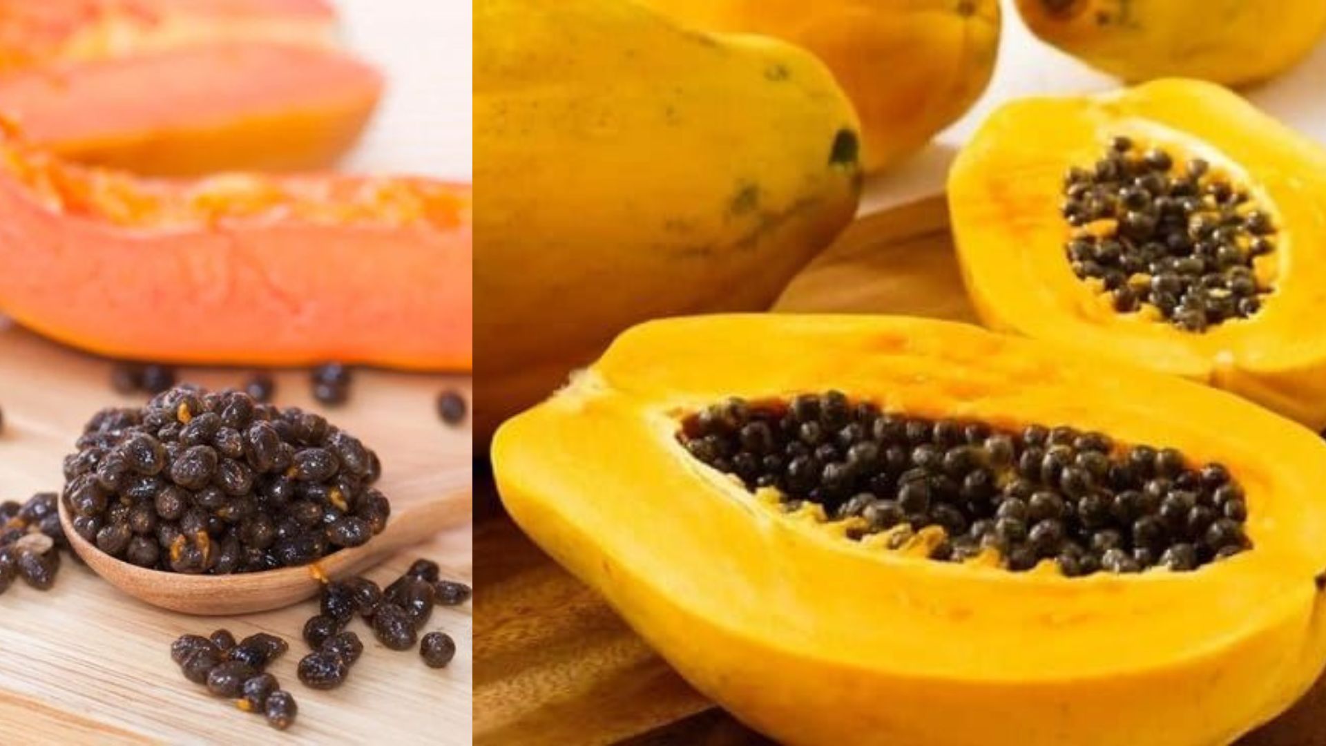Bukan hanya buahnya yang bermanfaat, biji pepaya juga memiliki banyak manfaat yang baik untuk kesehatan tubuh