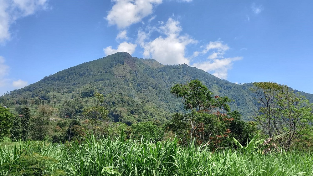 Kebakaran lahan di lereng Gunung Telomoyo di area Salaran, Dukuh Ndangklik, Desa Tolokan, Kecamatan Getasan, Kabupaten Semarang sudah padam.