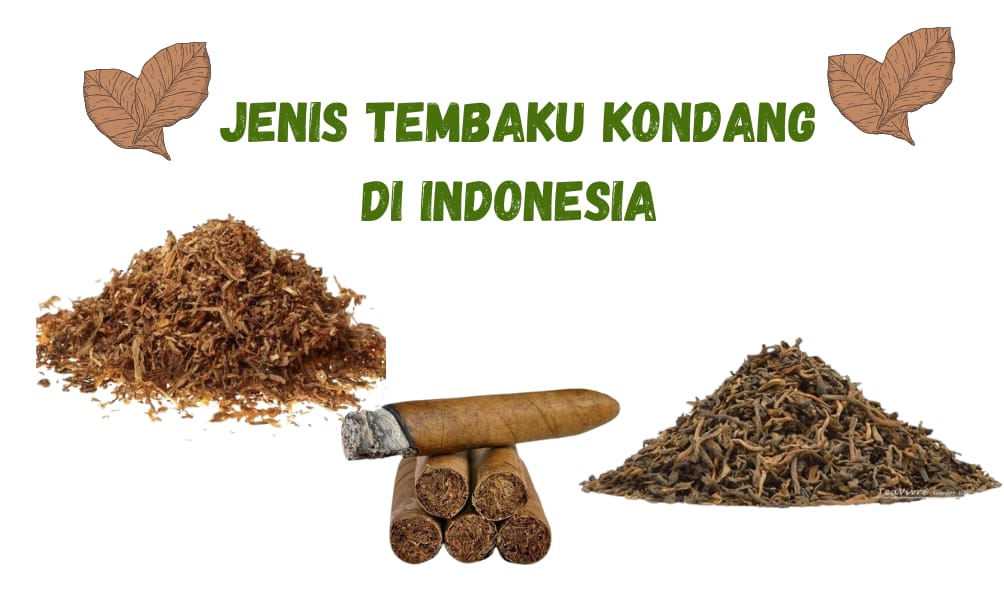 Tiga jenis tembaku yang kondang di Indonesia dengan kualitas tinggi.