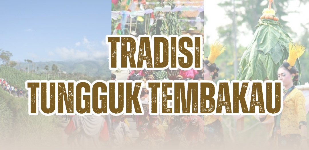 tradisi tungguk tembakau sebagai wujud rasa syukur petani di lereng merbabu