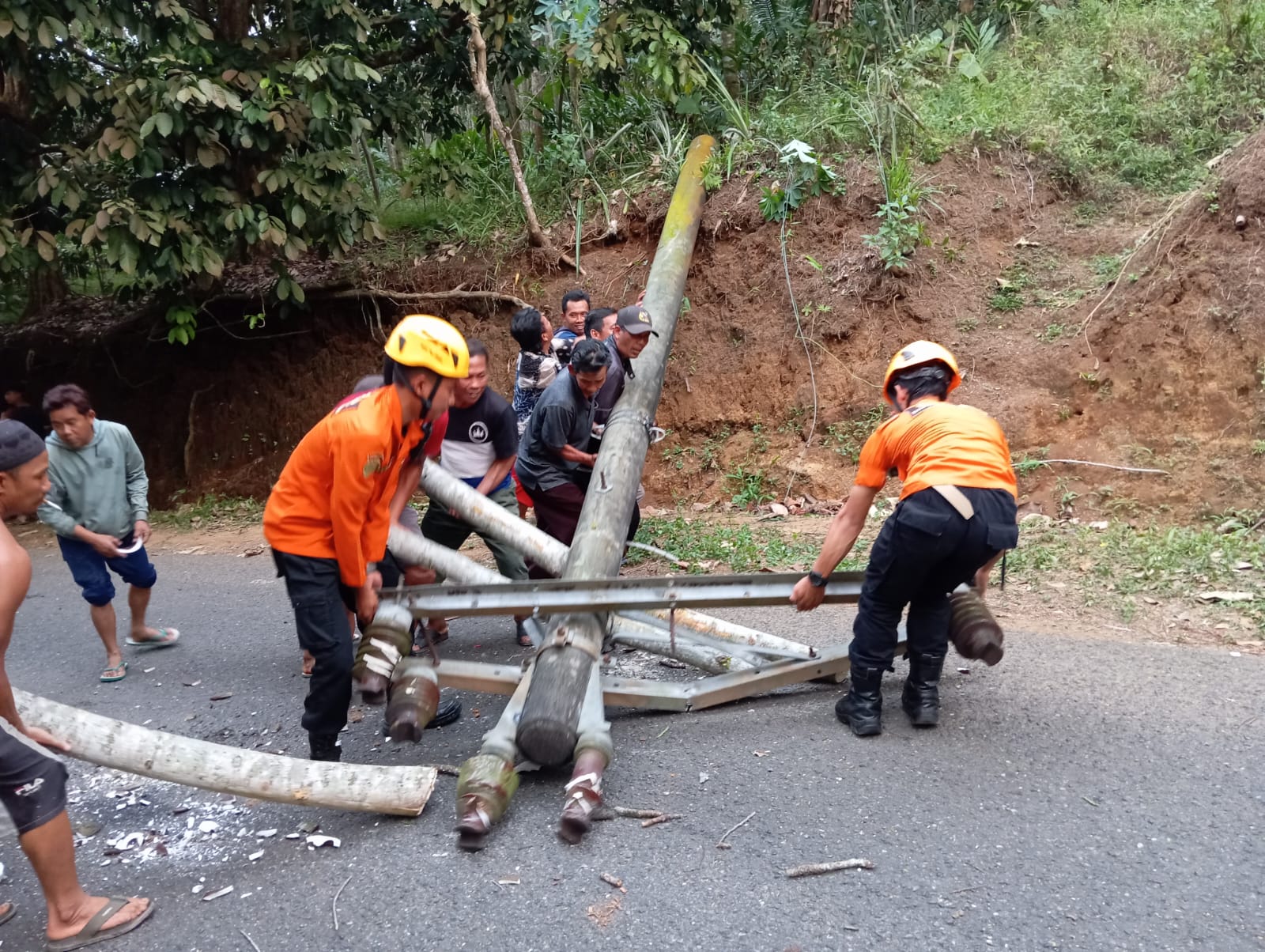 Petugas tengah menangani tiang listrik yang roboh akibat tertimpa pohon di jalur Kaliwiro-Selomerto, Wonosobo.