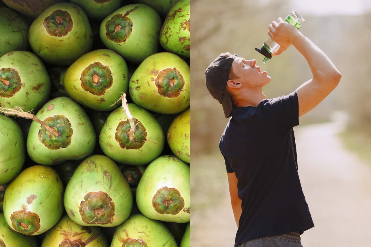 Air kelapa muda bagus untuk kesehatan, terutama menjaga tubuh agar tidak dehidrasi