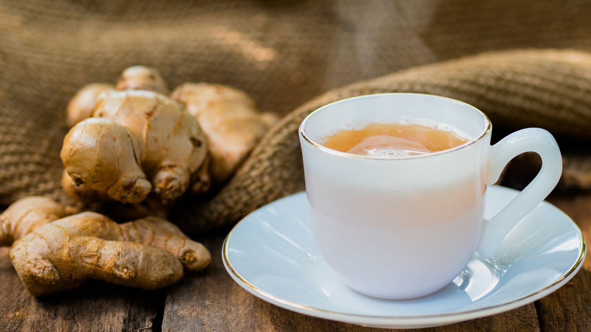 Jahe merupakah salah satu rempah indonesia yang memiliki aroma khas dengan ciptaan rasa yang autentik yang kaya manfaat