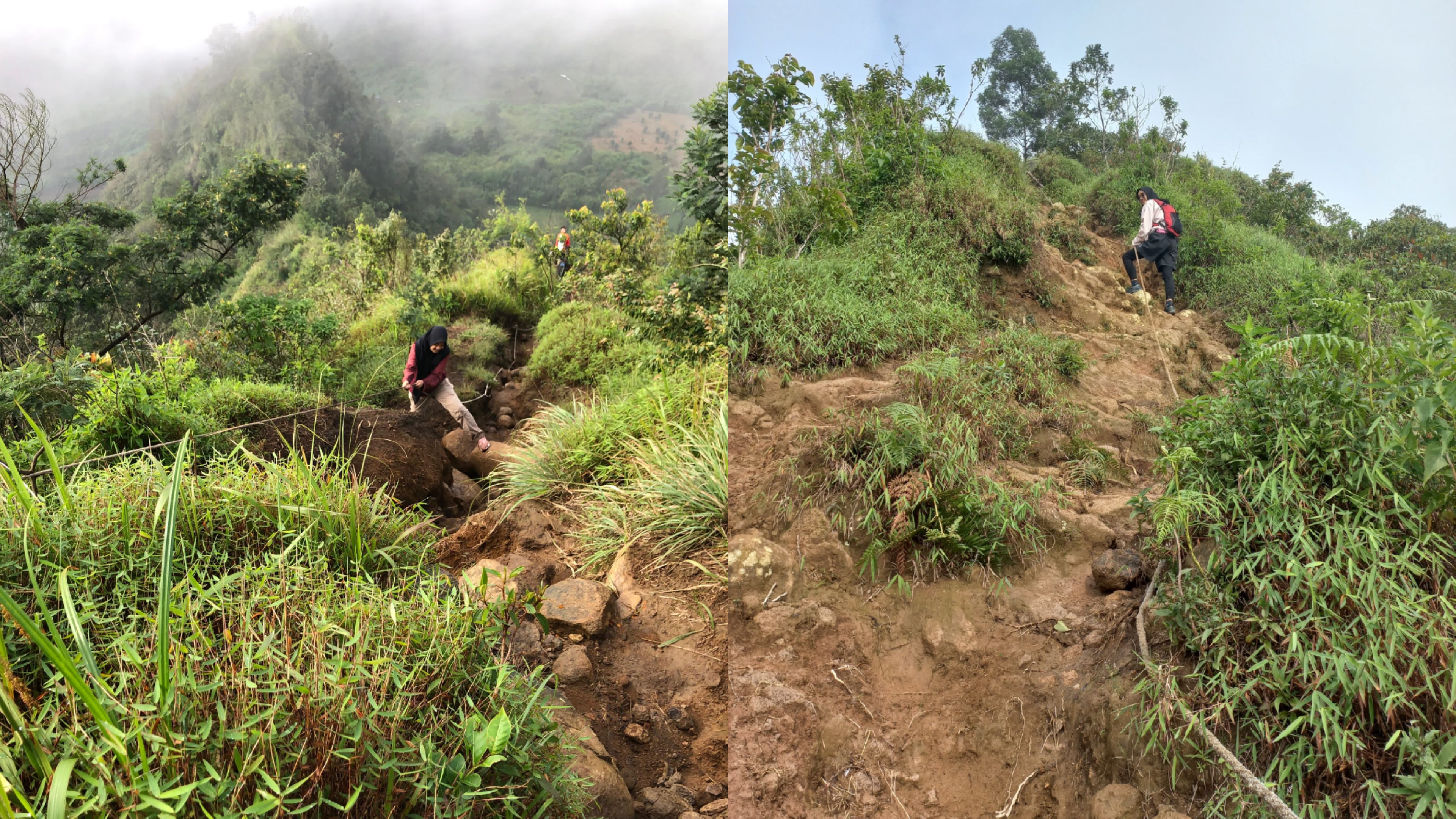 jalur pendakian Gunung Sikendil