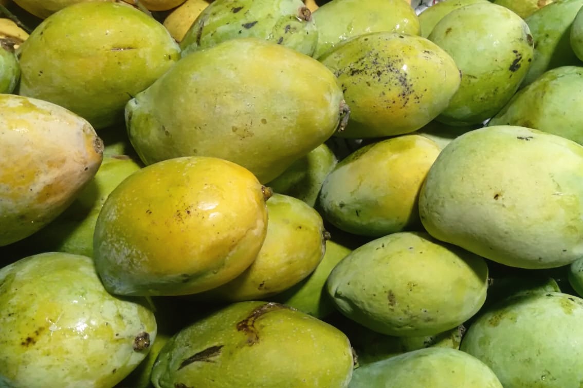 Mangga tidak hanya rasanya saja yang lezat, tetapi juga manfaatnya yang melimpah karena memiliki kandungan nutrisi yang baik