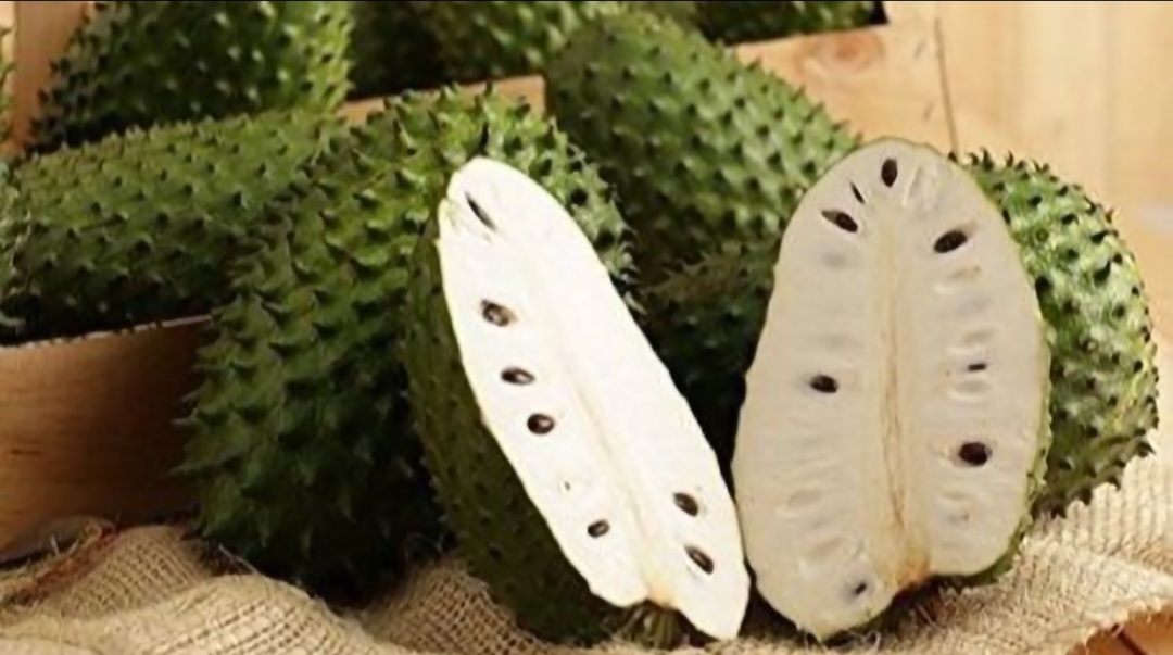 Buah Sirsak yang kaya nutrisi