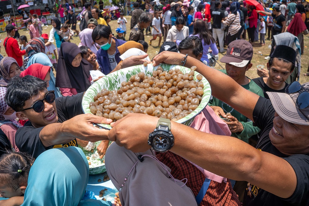 Warga antusias berebut Gunungan Ojeg di Lapangan Drojogan, Sidomulyo, Salaman, Kabupaten Magelang, Minggu(13/10/2024)