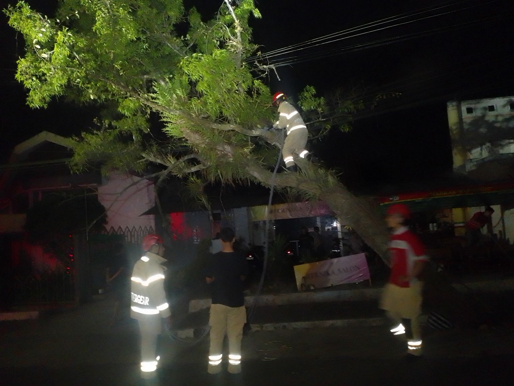 Personel Damkar Kabupaten Temanggung melakukan evakuasi pohon tumbang di Jalan Kartini yang menimpa bangunan Warmindo.  &nbsp;