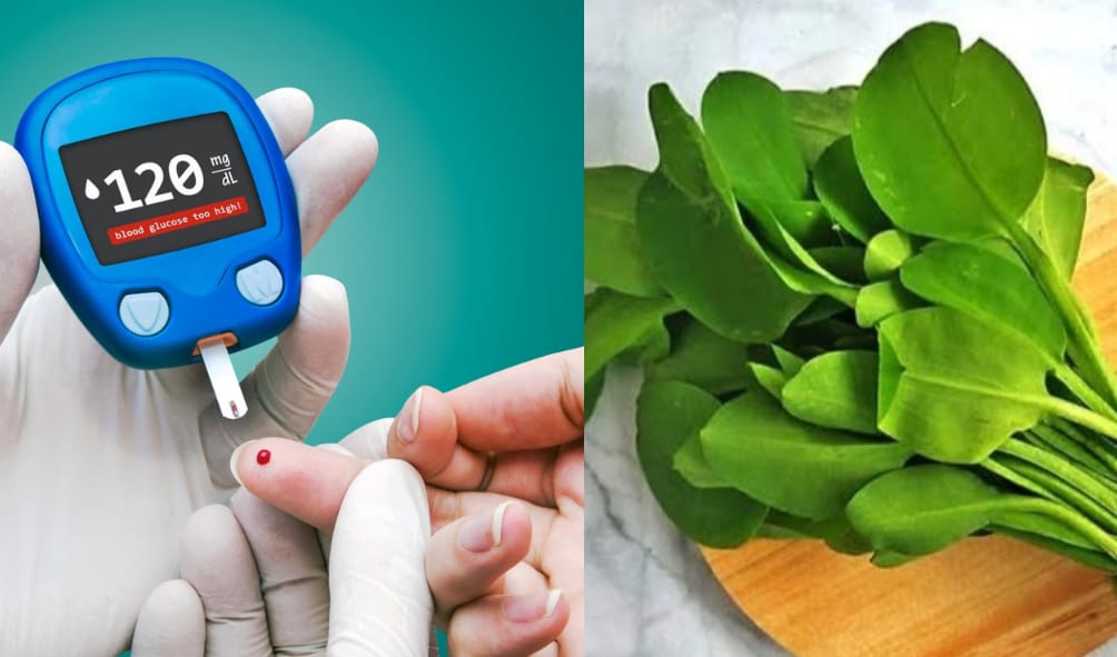 Daun Genjer Berkhasiat Untuk Mencegah Diabetes