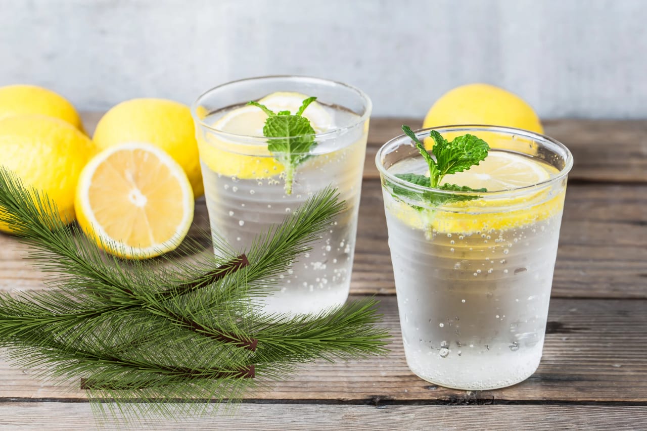 Soda daun pinus minuman unik yang memiliki manfaat untuk kesehatan