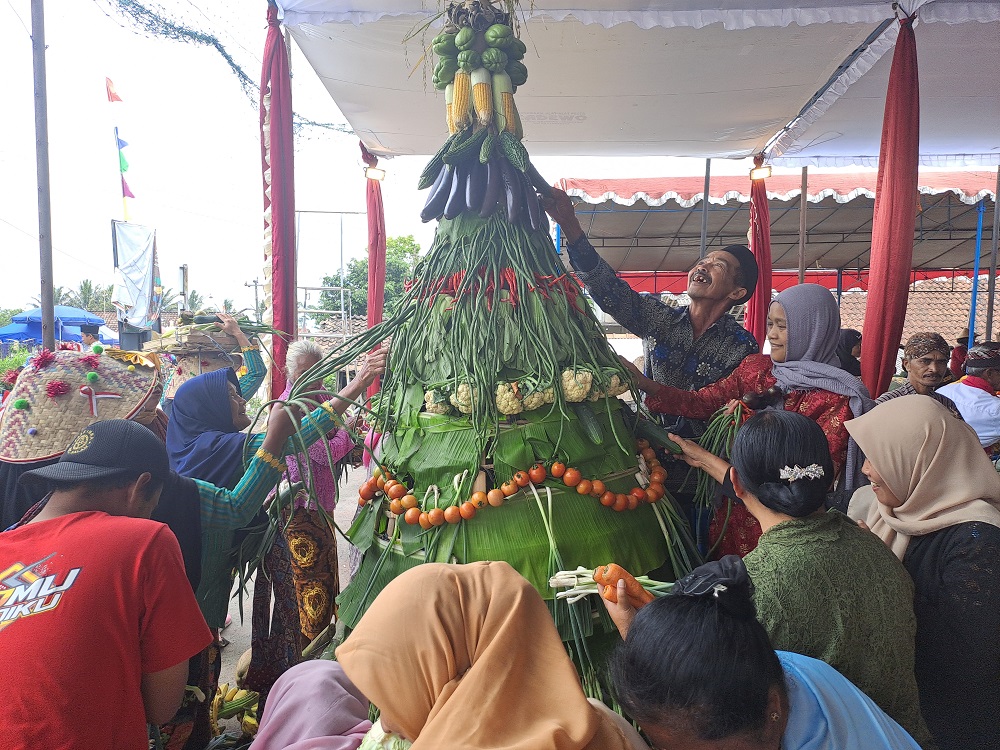 Warga berebut gunungan hasil bumi saat tradisi merti desa di Dusun Banaran, Desa Keningar, Kecamatan Dukun, Kabupaten Magelang, Rabu (23/10/2024).