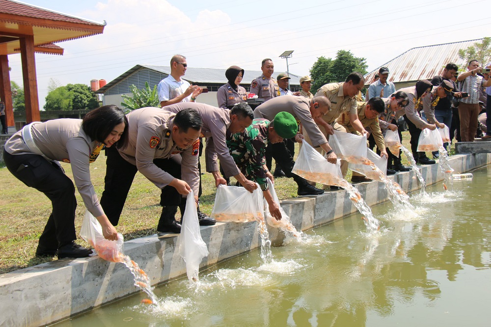 Kapolresta Magelang Kombes Pol Mustofa bersama jajaran melaksanakan tebar 5.000 benih ikan dan tanam 120.000 bibit jagung di Mertoyudan, Selasa (5/11/2024).