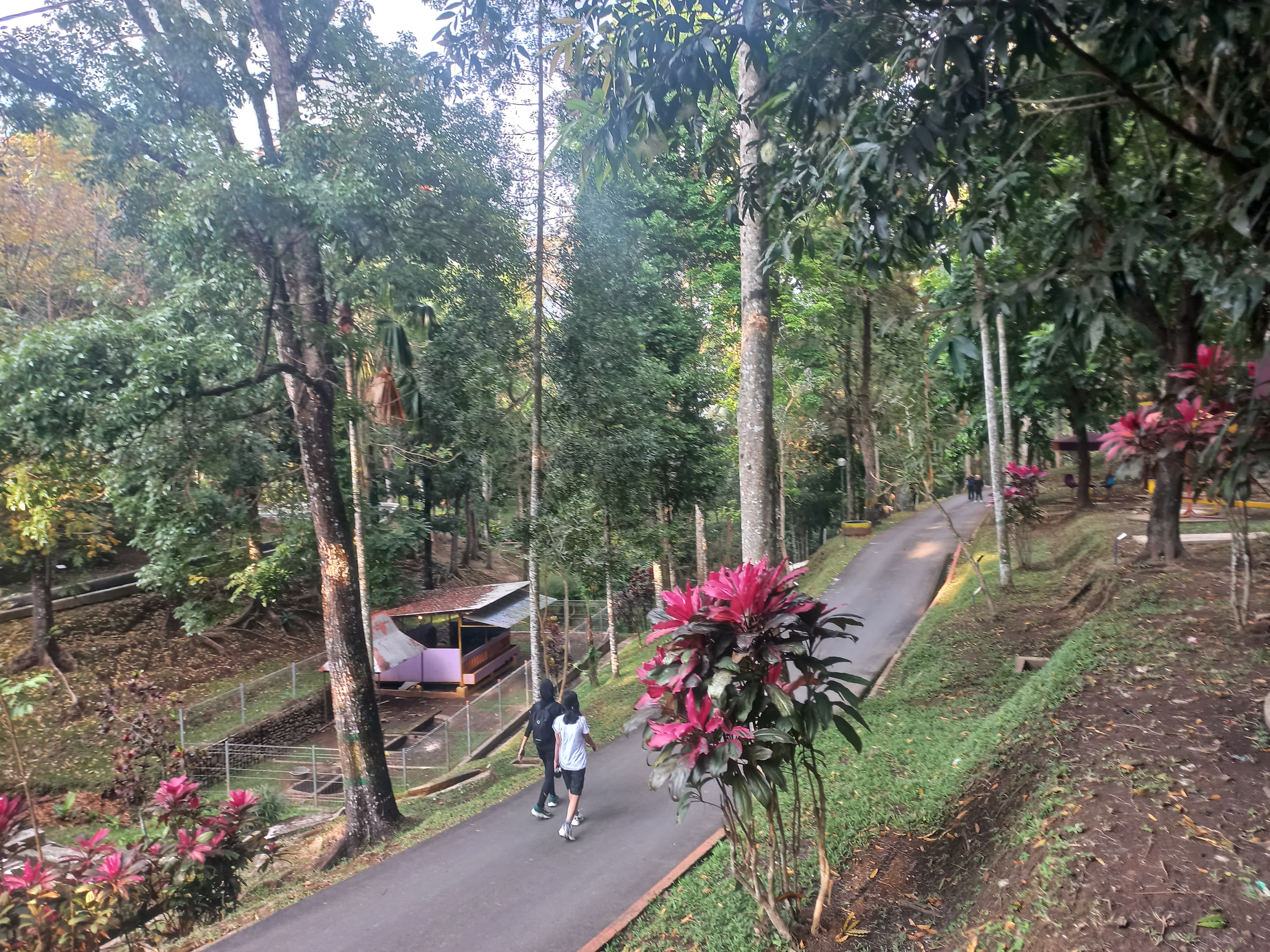 Jogging pagi hari di Taman Kyai Langgeng (TKL) Ecopark Kota Magelang dengan suasana alam yang masih asri.