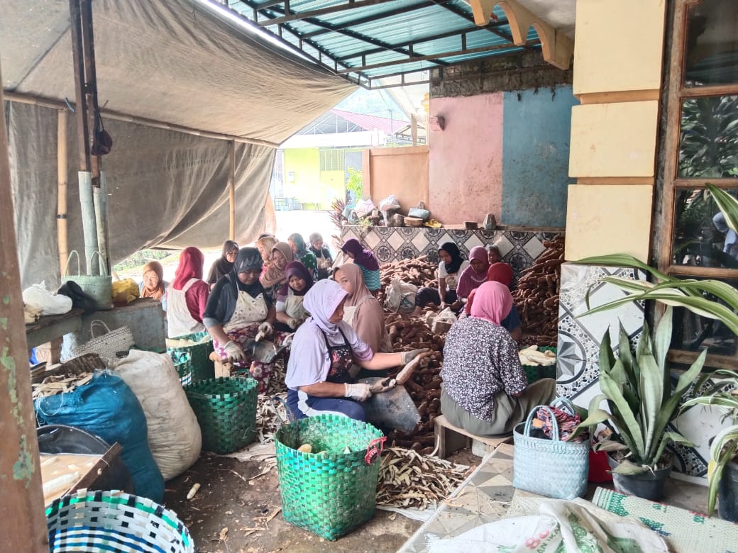 Pengupasan kulit singkong dilakukan oleh karyawan
