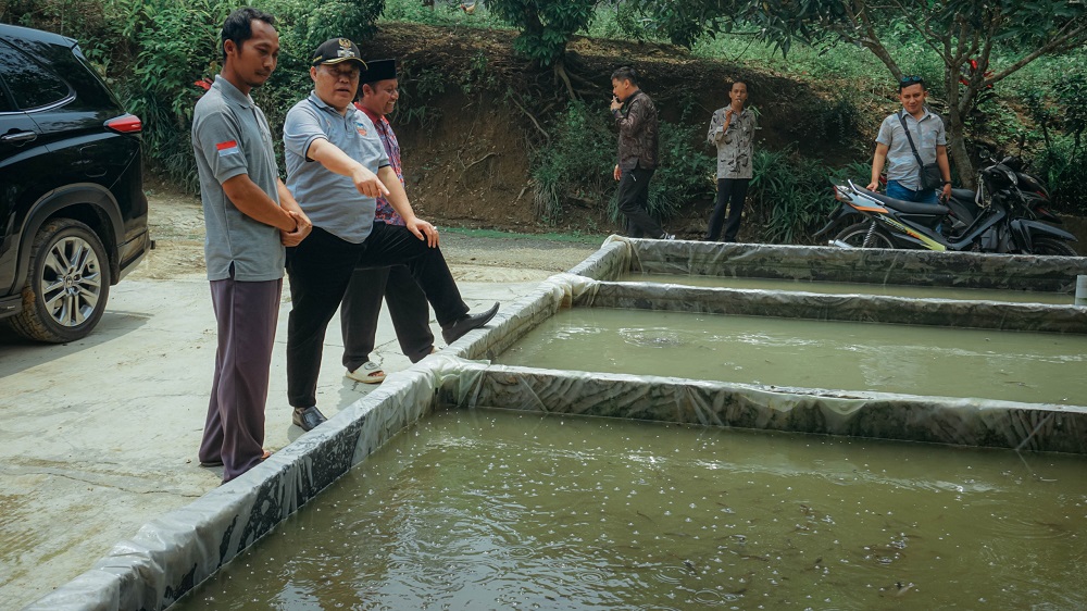 Plt Bupati Wonosobo Muhammad Albar saat mengunjungi kolam budidaya lele di Dusun Lebak, Kaliwiro.  &nbsp;