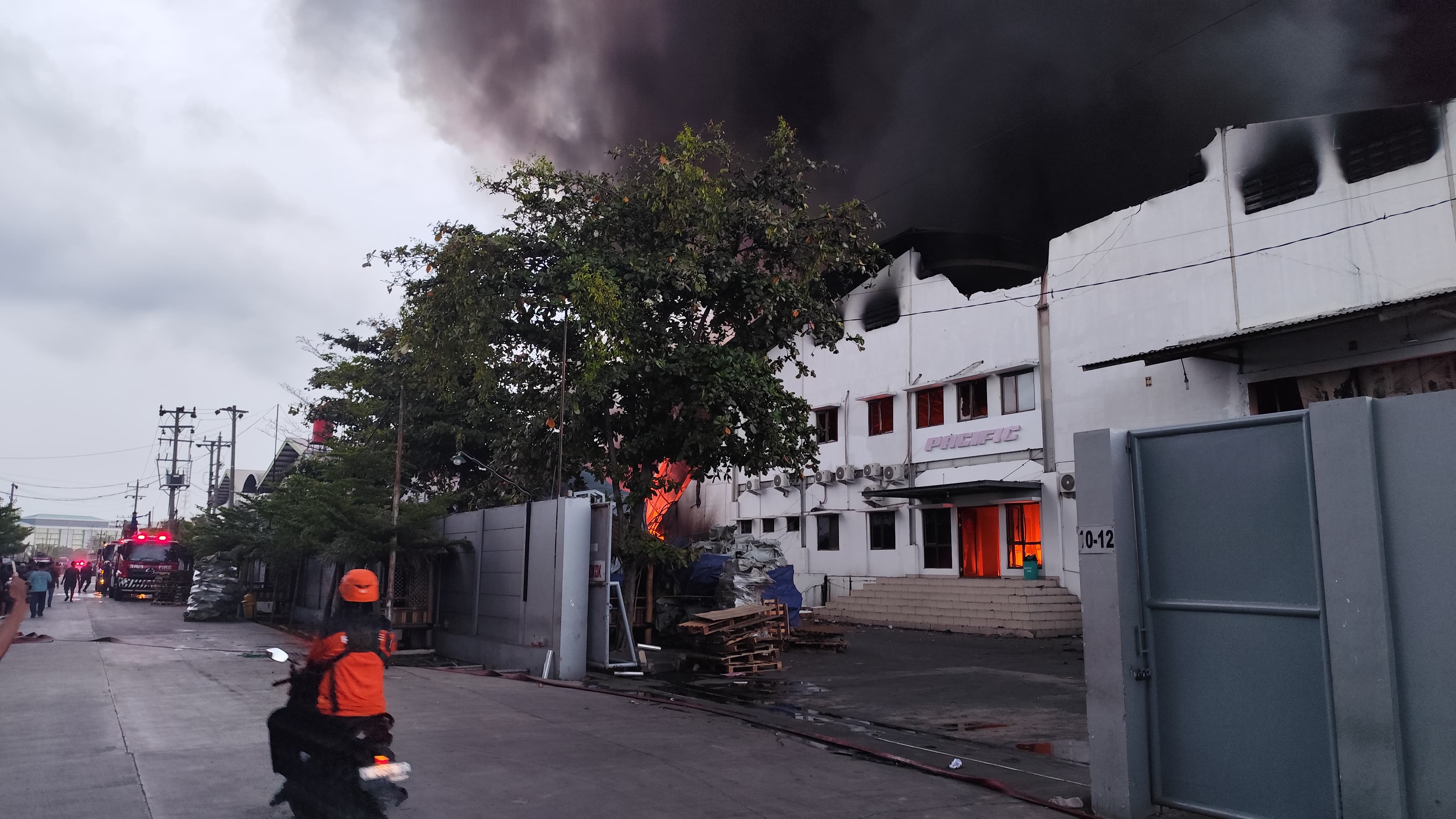 Pabrik sepeda merek Pasific, PT Roda Pasifik Mandiri di Kawasan Industri Terboyo Semarang terbakar, Kamis (21/11/2024)