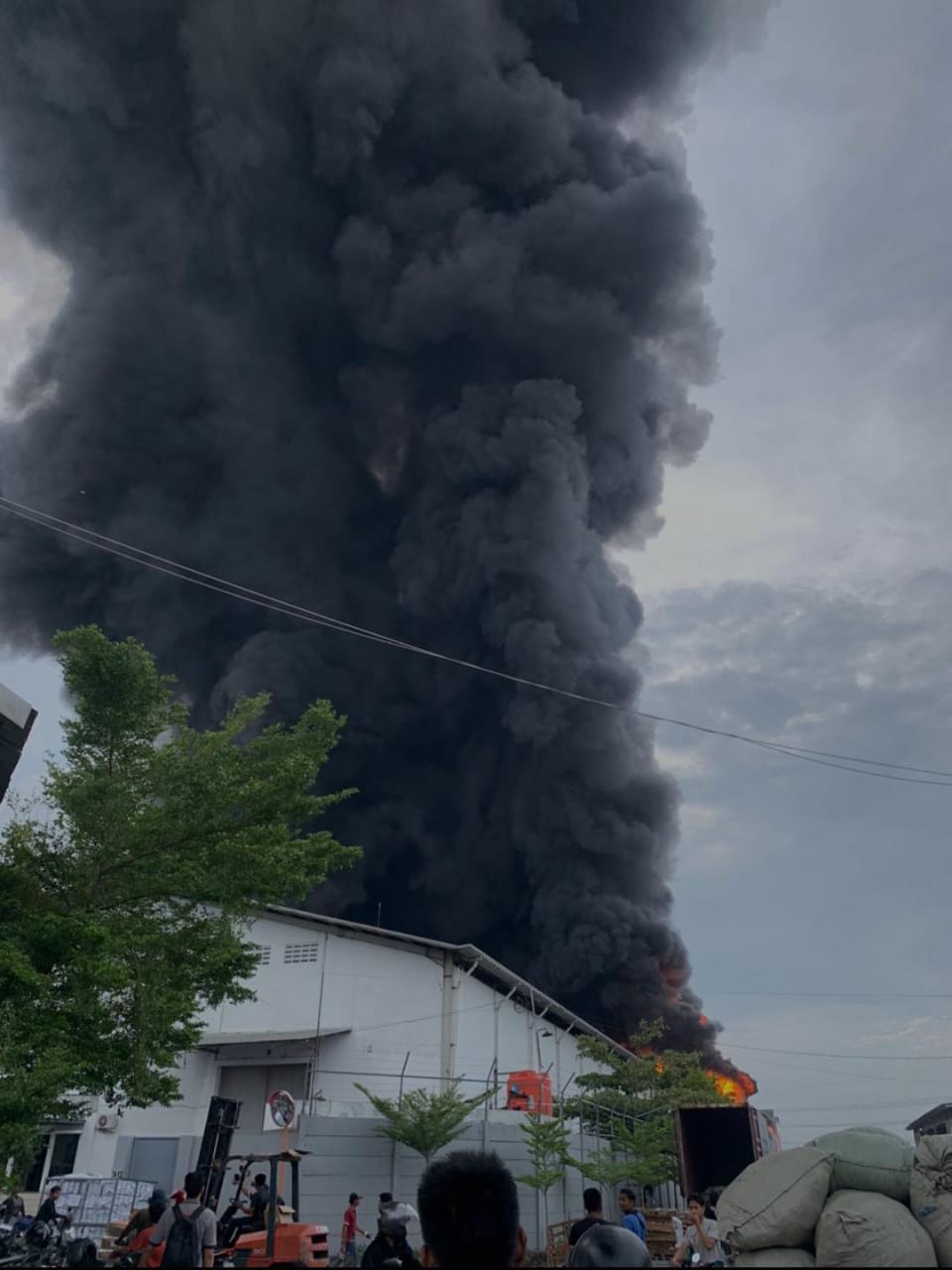 Pabrik sepeda merek Pasific, PT Roda Pasifik Mandiri di Kawasan Industri Terboyo Semarang terbakar, Kamis (21/11/2024)
