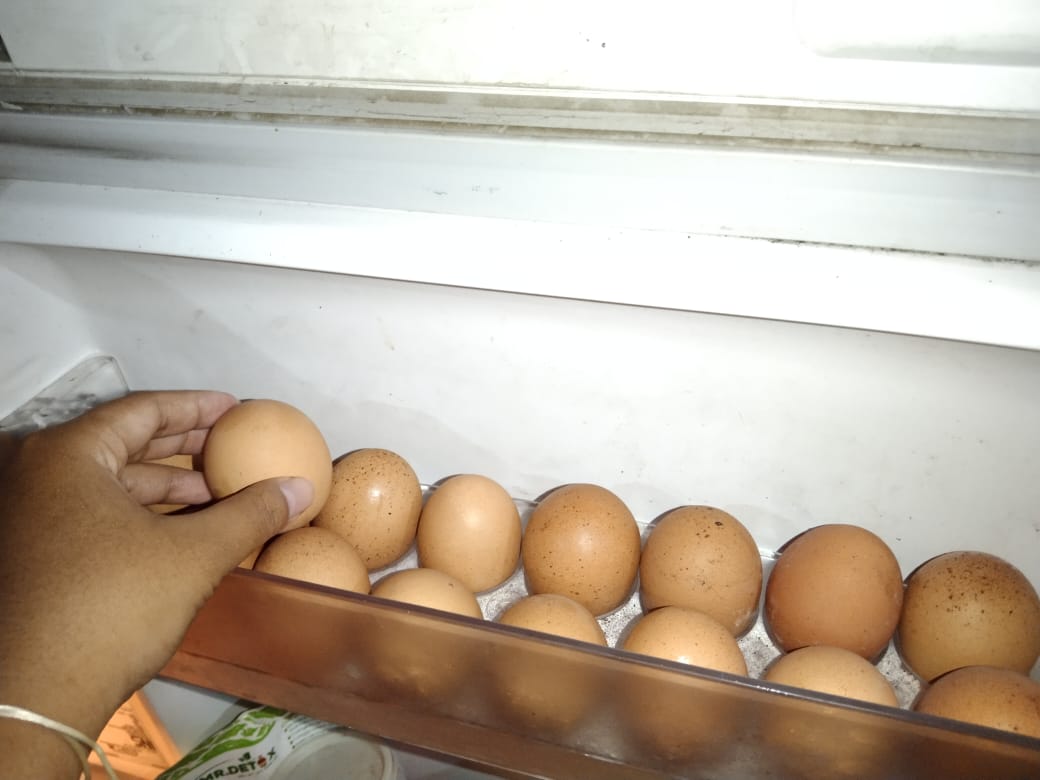 Telur disimpan di kulkas
