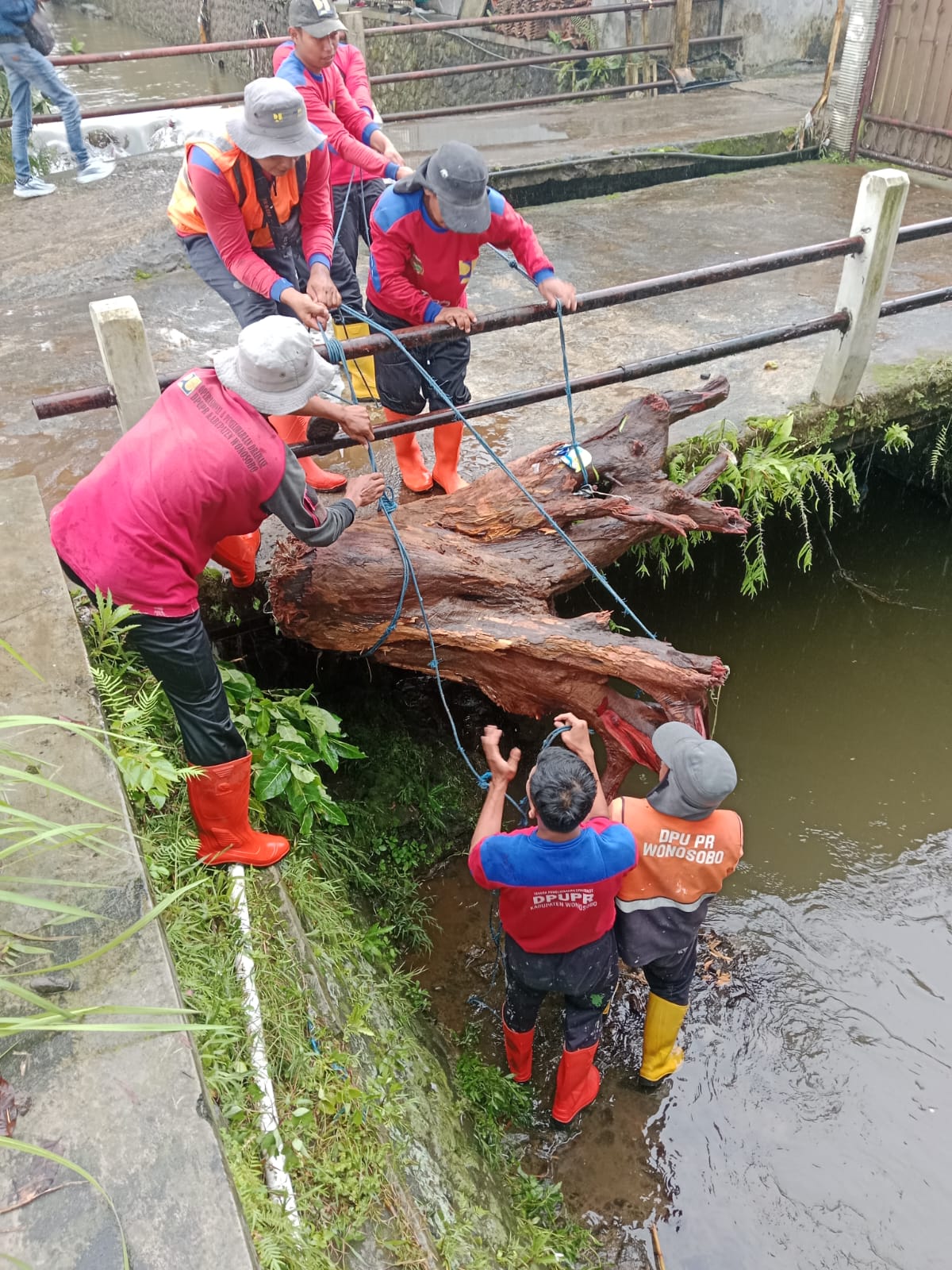 Petugas dari DPUPR  mengangkat material kayu yang menghambat aliran air Wangan Aji.