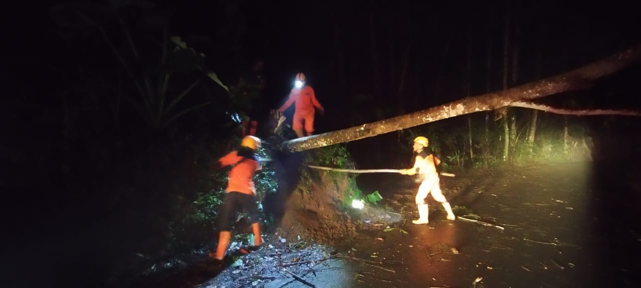 Petugas menangani pohon tumbang pada Minggu malam di ruas jalan Wonosobo.