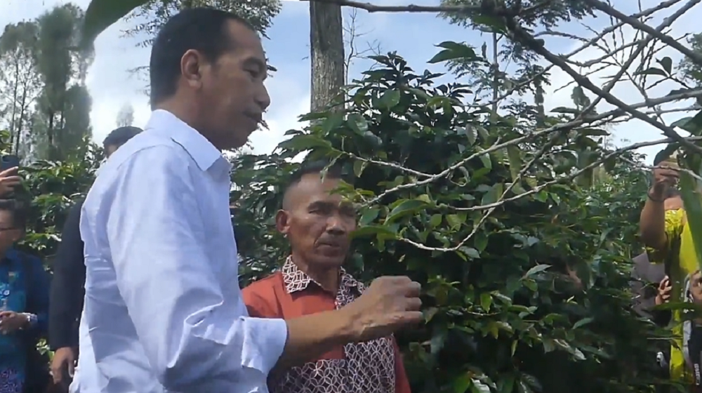 Mantan Presiden Joko Widodo (Jokowi) saat mengunjungi kebun kopi di Desa Tlahab, Kledung, Temanggung, Kamis (19/12/2024).