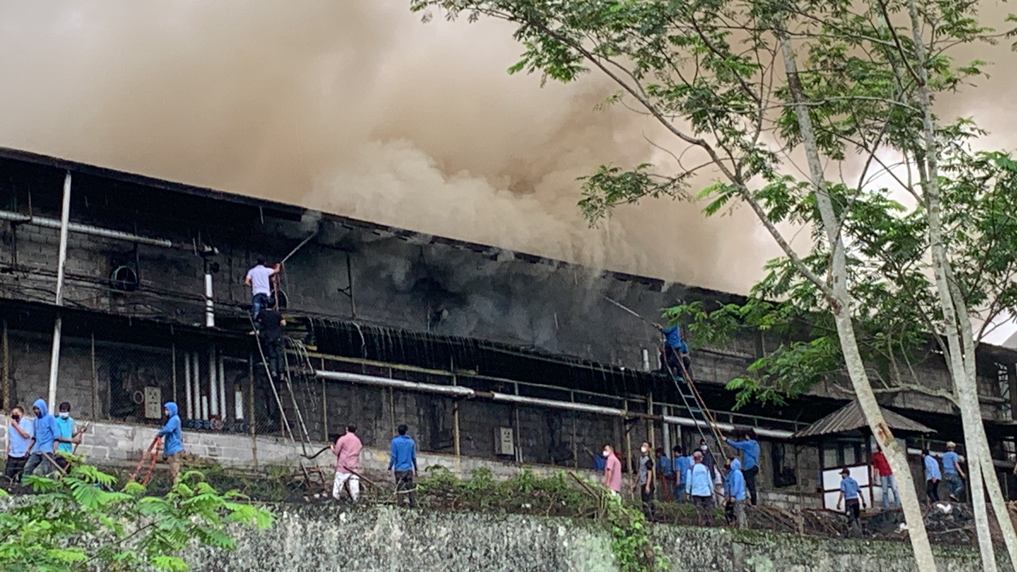 Pabrik kayu lapis milik PT ABP Temanggung terbakar hebat pada Selasa (7/1/2025) siang. Tampak petugas berusaha memadamkan api.