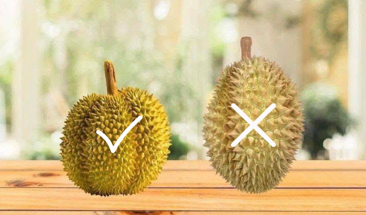Tips Anti Gagal Memilih Durian yang Enak