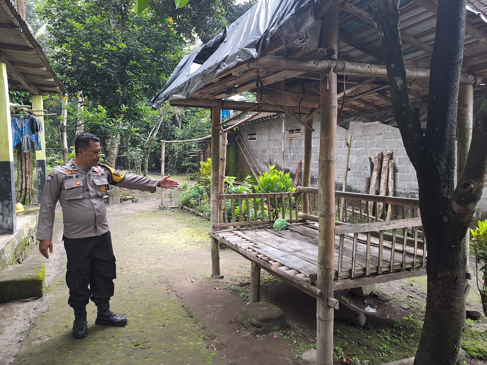 Anggota Polsek Srumbung menunjukkan gazebo lokasi ditemukannya bayi perempuan di Dusun Wironayan, Desa Kradenan, Kecamatan Srumbung, Kabupaten Magelang,  Rabu (8/1/2025) pagi.