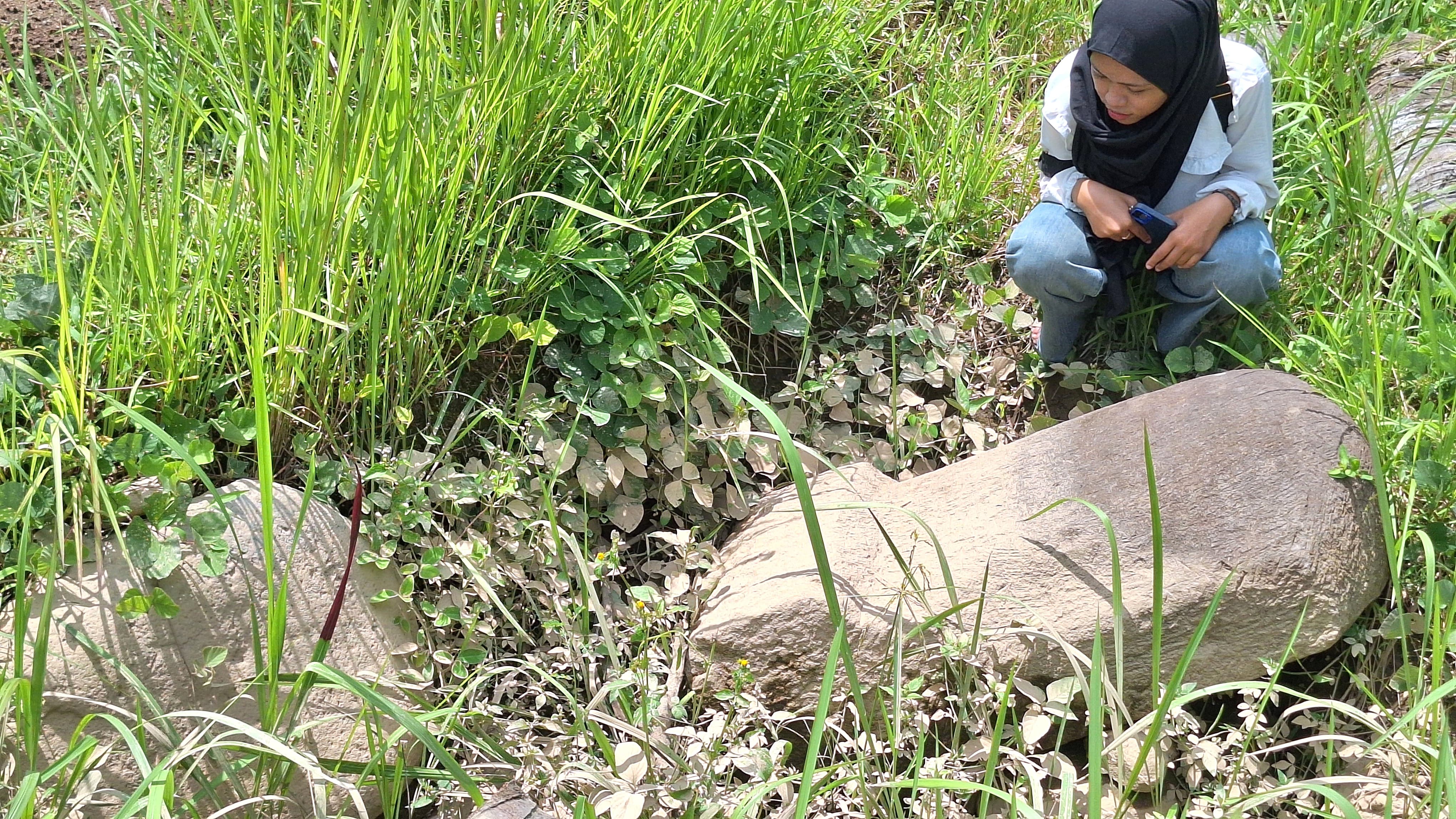 Penemuan batu kuno di sawah yang belum jelas asal usulnya (Najwa Amalia Husna/ Jawa Pos Radar Magelang)