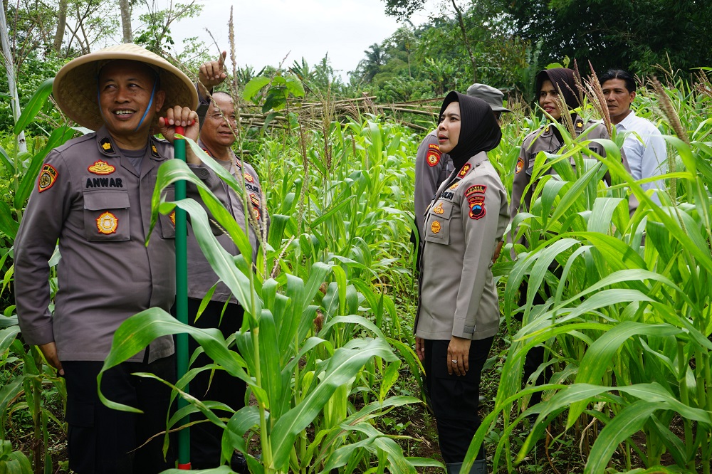 Kapolres Magelang Kota AKBP Anita Indah Setyaningrum mengecek tanaman jagung di lahan delta area Puri Tuksongo, Kota Magelang.