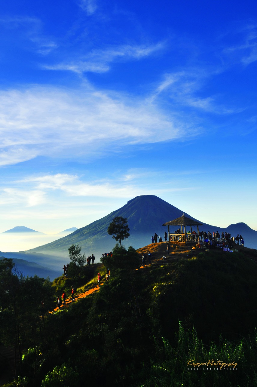 Bukit Sikunir Dieng Wonosobo salah satu destinasi wisata yang banyak menjadi jujugan wisatawan.