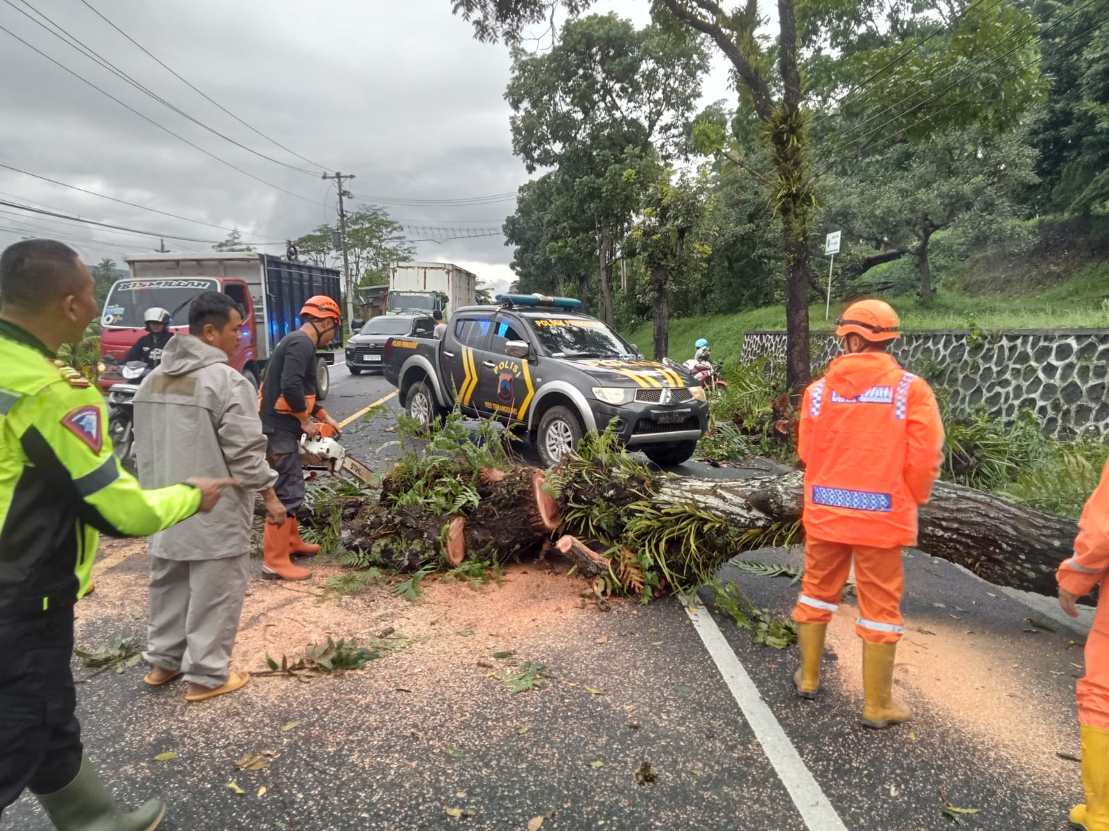 Petugas menangani pohon tumbang yang menutup jalan akibat angin kencang, Jumat (14/2/2025) sore.