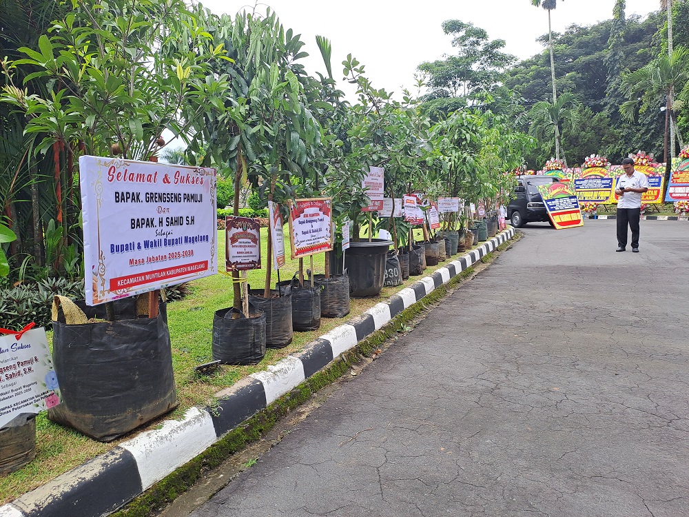 Sejumlah bibit pohon dengan tulisan ucapan selamat sudah memenuhi halaman Kantor Pemkab Magelang, Rabu (19/2/2025).