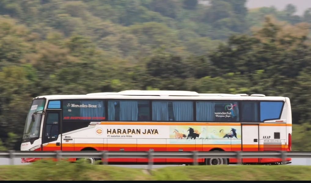 PO Harapan Jaya dengan  ciri khas body berwarna oranye dan putih serta livery bergambar kuda yang masih dipertahankan sampai saat ini, hingga kemudian dijuluki Kuda Oranye dari Tulungagung.