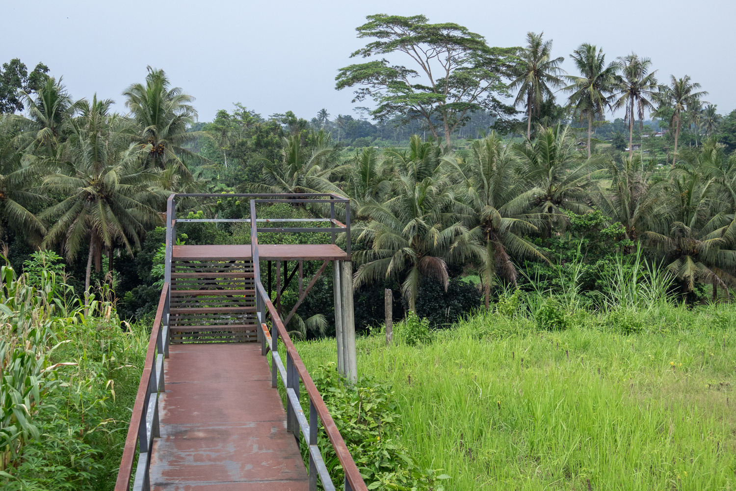 Platform untuk melihat sunrise di Balkondes Candirejo, menyuguhkan panorama sawah dan sungai progo di bawahnya.
