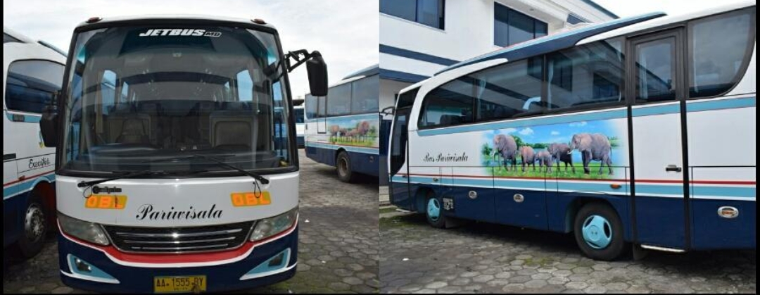 Perusahaan otobus  (PO) Safari Dharma Raya asal Temanggung di setiap armadanya tergambar sosok gajah dengan latar pepohonan hijau sebagai livery-nya.