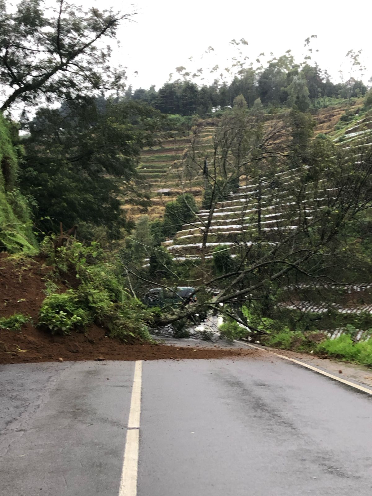 Material longsor menutupi jalan menuju ke kawasan wisata Dieng, Jumat (7/3/2025) sore.
