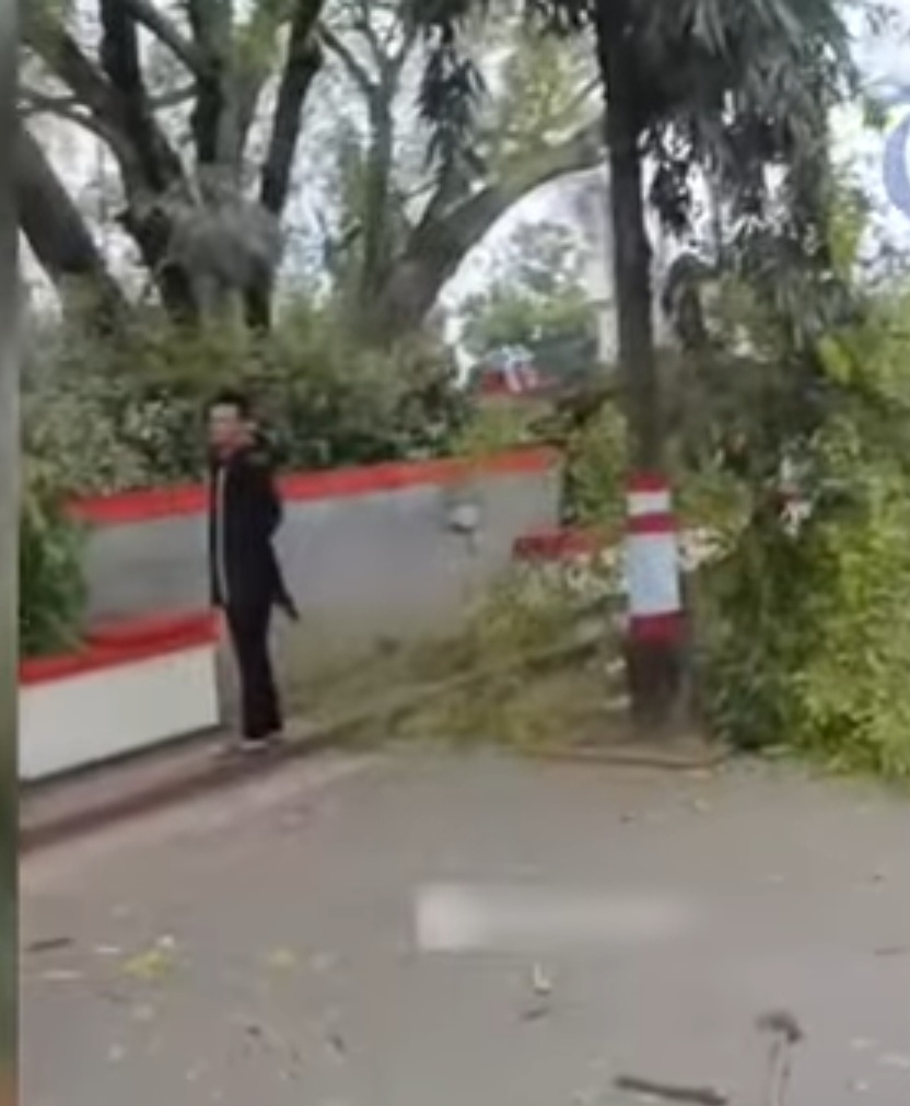 Dahan beringin di Alun-alun Pemalang tumbang, menimpa para jamaah salat Idul Fitri, Senin (31/3/2025).