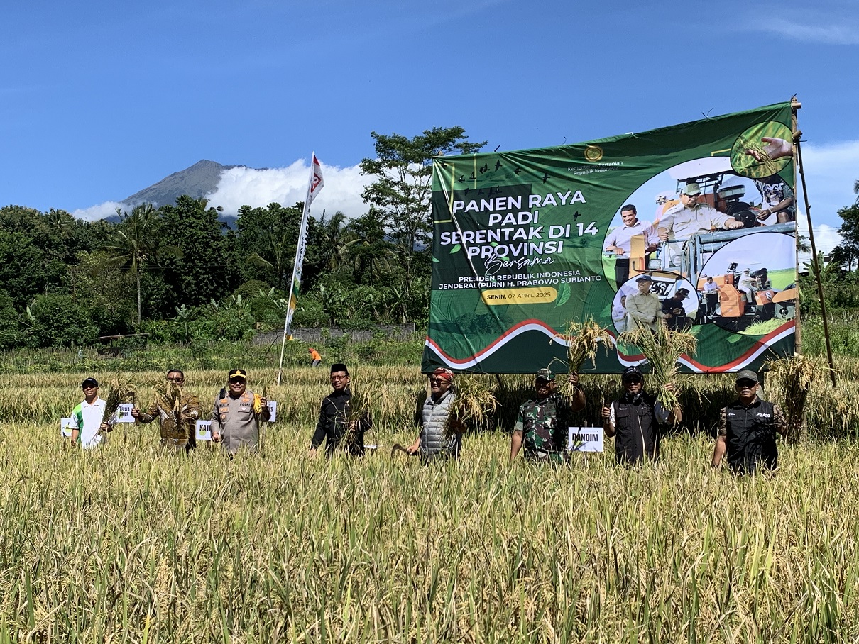 Forkopimda saat panen raya padi serentak di sawah blok Sigintung kelompok tani Sri Darmo, Kelurahan Madureso, Temanggung, Senin (7/4/2025).