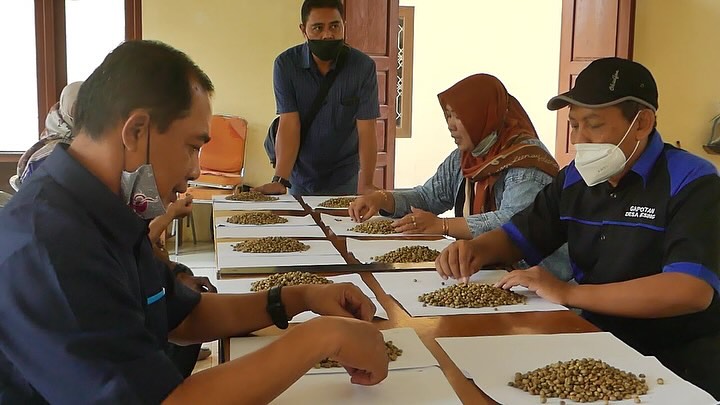 Pelatihan petani kopi Temanggung. Produk kopi dan kayu bakal terdampak perang dagang.