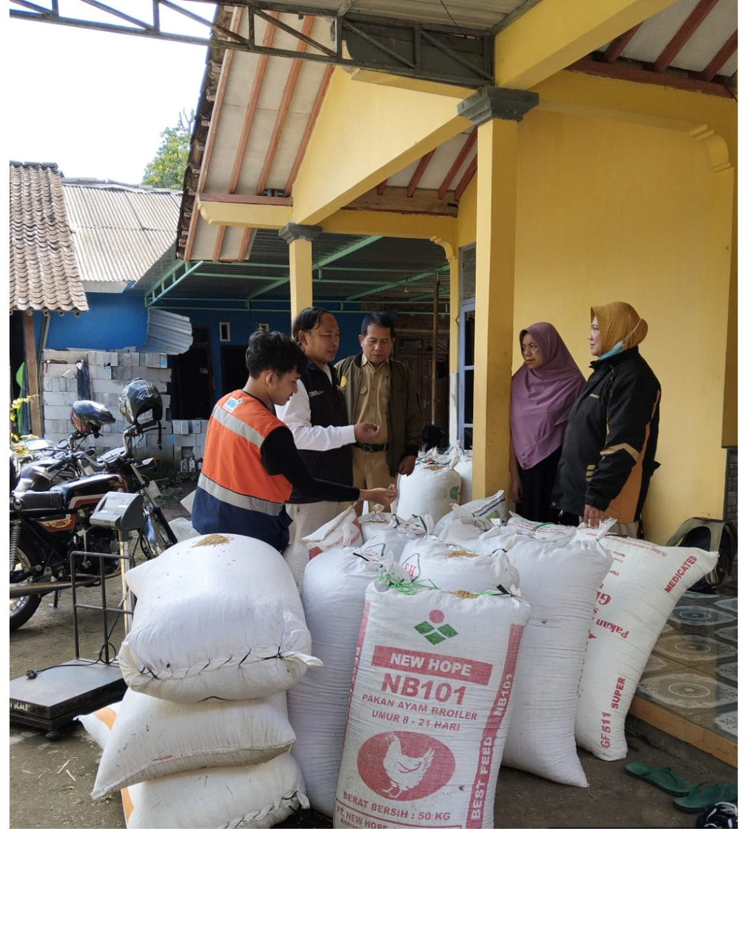 Gabah petani di Kecamatan Tempuran, Kabupaten Magelang dibeli dengan harga tinggi oleh Bulog Kantor Cabang Magelang.