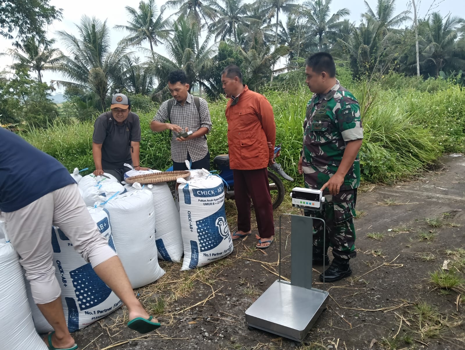 Penyerapan gabah petani yang dilakukan Perum Bulog Kantor Cabang Magelang sampai 11 Mei 2025 mencapai 25 ribu ton setara beras.