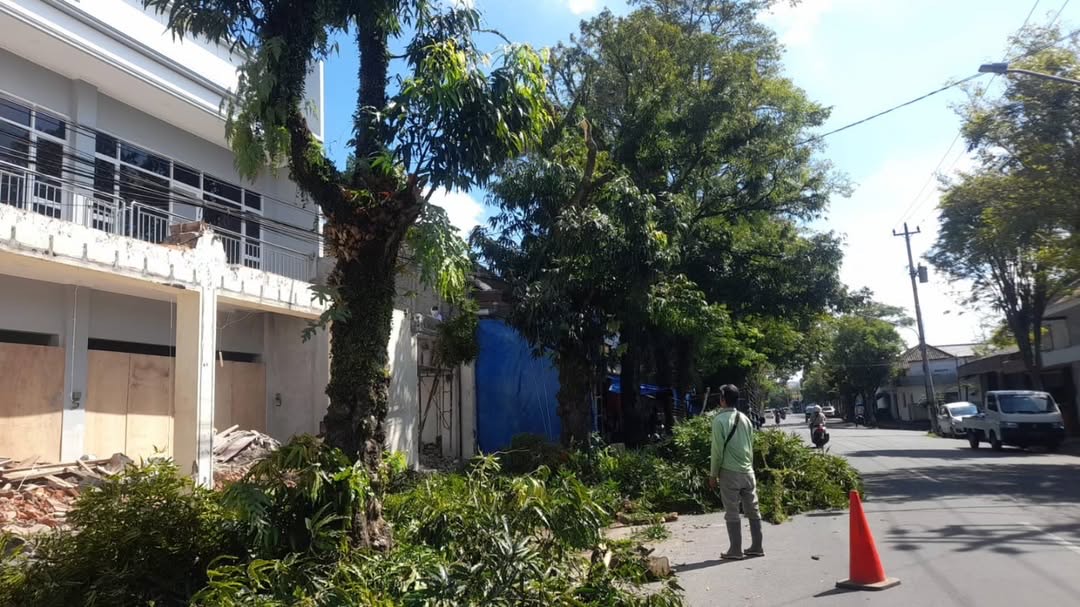 Petugas DPRKPLH saat melakukan pemangkasan dahan dan ranting pohon ayoman di sepanjang jalan kabupaten.