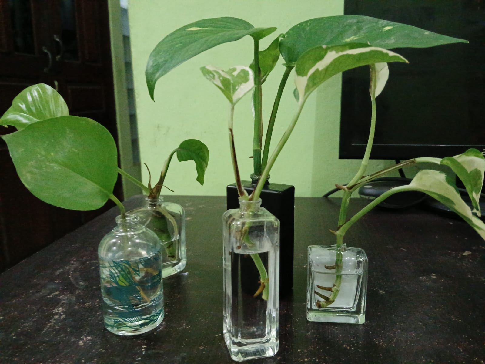 Botol-botol bekas dapat dimanfaatkan untuk mempercantik ruangan.