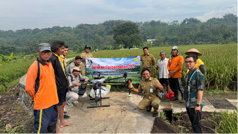 Penyemprotan Organisme Pengganggu Tanaman padi menggunakan teknologi drone sprayer.